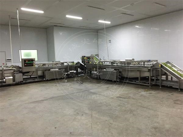 蔬菜速凍預(yù)處理設(shè)備