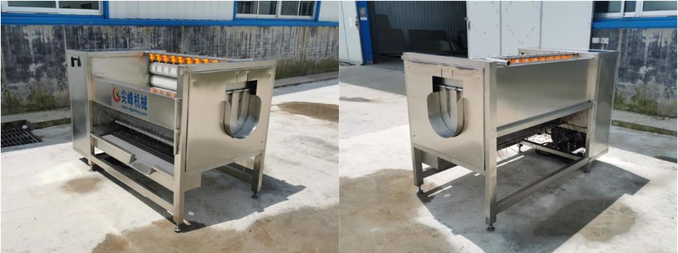 球根莖類去皮清洗機器設(shè)備
