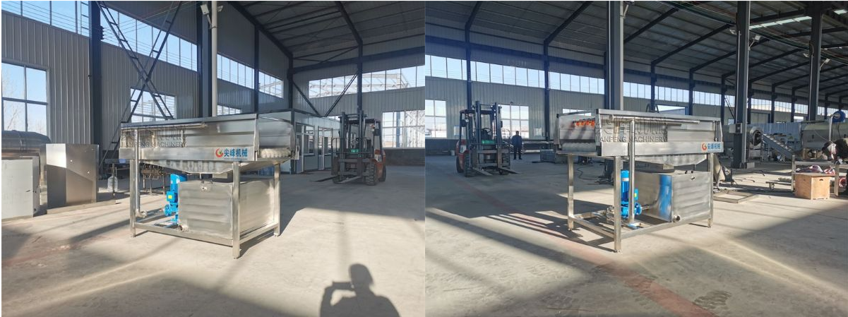 瓜果類噴淋毛刷清洗機(jī)器設(shè)備