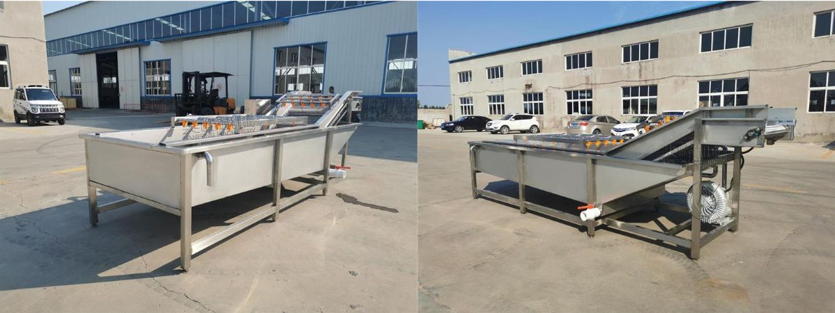 葉菜類(lèi)噴淋氣泡清洗機(jī)器設(shè)備